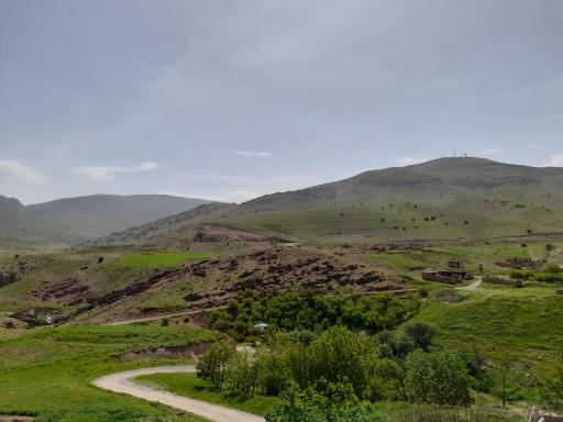 عکس مله سرخه