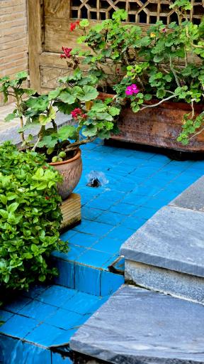 عکس هتل باغ مشیر الممالک یزد