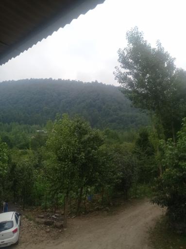 عکس شاه کلا
