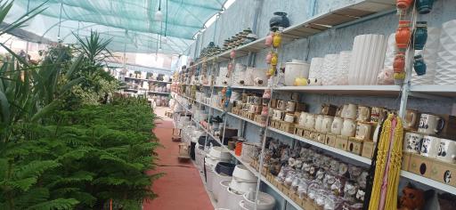 عکس گلستان یاس 