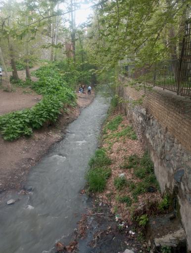 عکس دره محسنیان