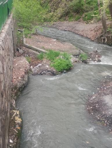 عکس دره محسنیان