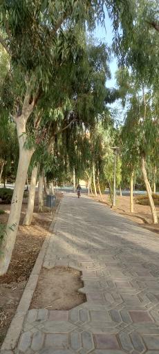 عکس بوستان توحید 