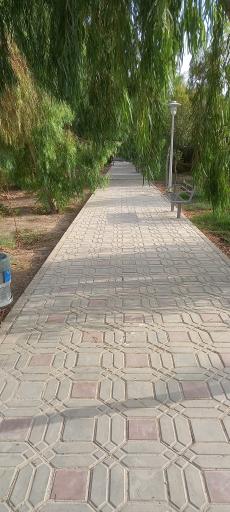 عکس بوستان توحید 