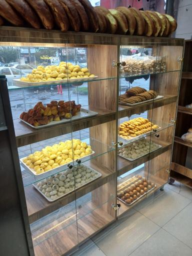 عکس نان فانتزی آسنات