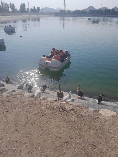 عکس بوستان جوان