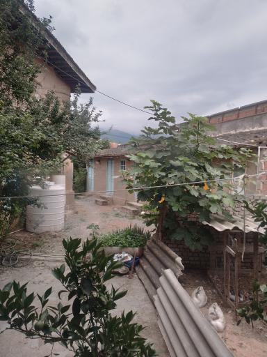 عکس لیوان شرقی