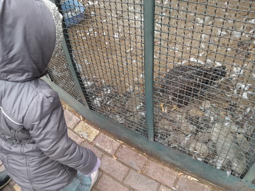 عکس بوستان موزه حیات‌وحش دارآباد