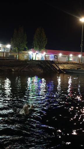 عکس بوستان جوان