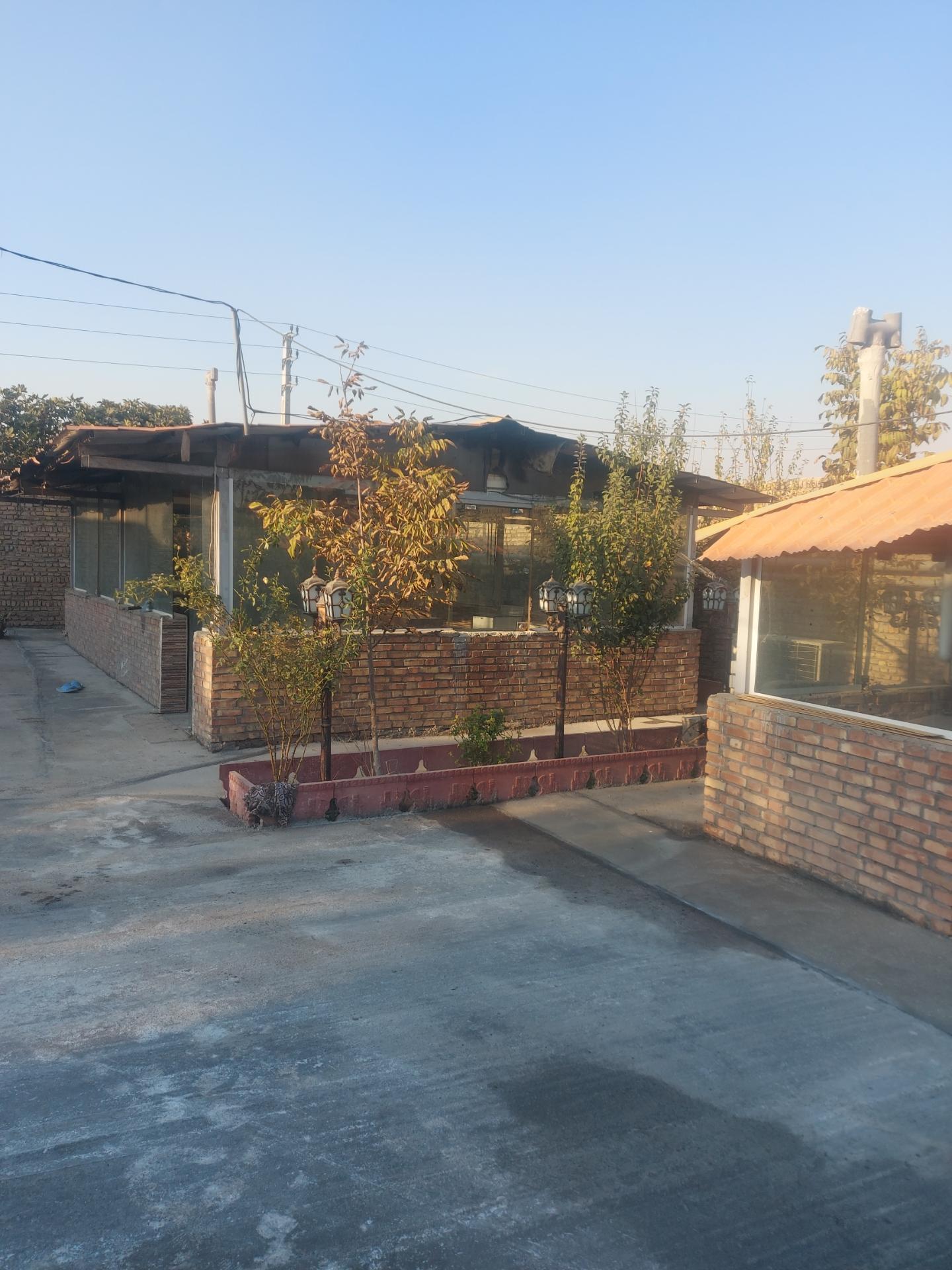 عکس گلخانه حجت خدارحم 