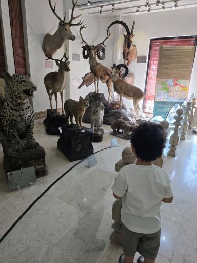 عکس بوستان موزه حیات‌وحش دارآباد