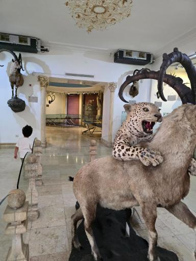 عکس بوستان موزه حیات‌وحش دارآباد