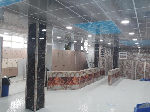 عکس استخر قصر ملک تهران