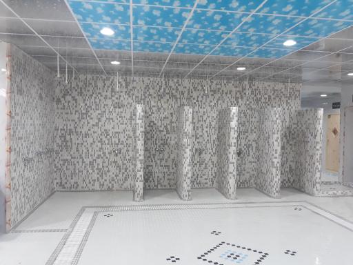 عکس استخر قصر ملک تهران