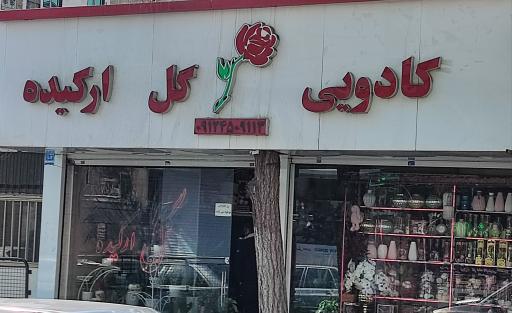 عکس گل ارکیده