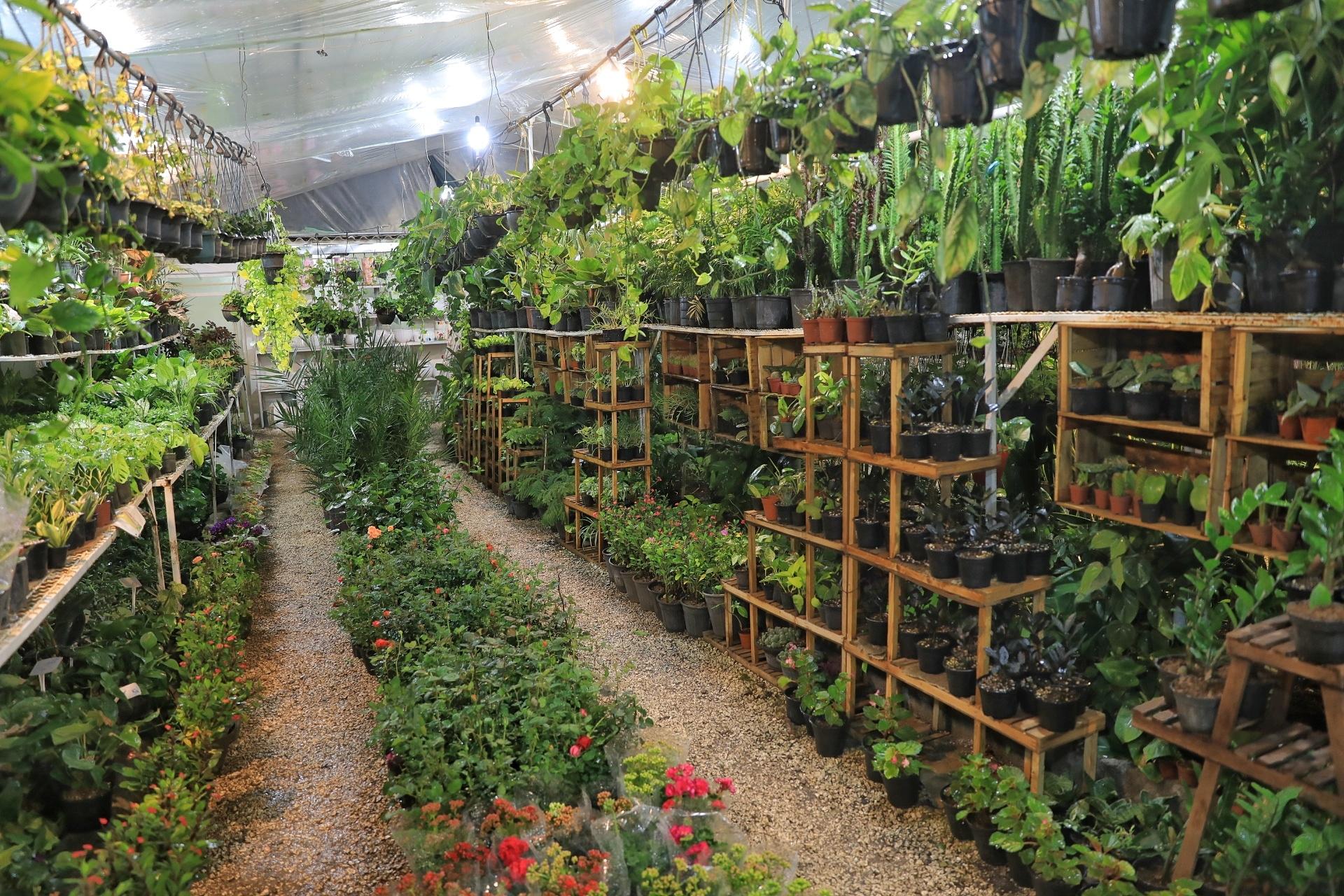 عکس گلخونه بهار (مفتکده) 