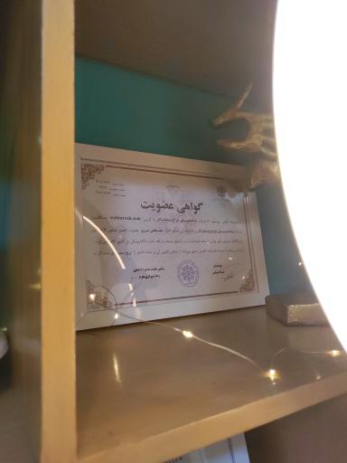 عکس طراح ایده ماندگار (طراح نت)