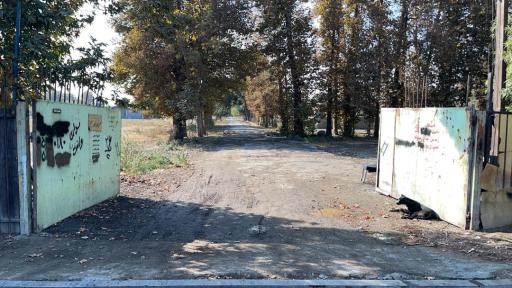 عکس سقف کاذب و کناف GBZ