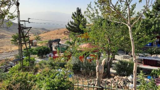 عکس سفره خانه کوهستان زیتون