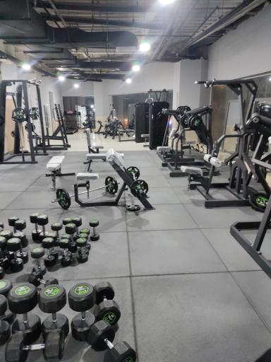 عکس باشگاه بدنسازی طاها