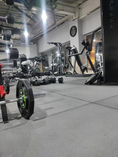 عکس باشگاه بدنسازی طاها