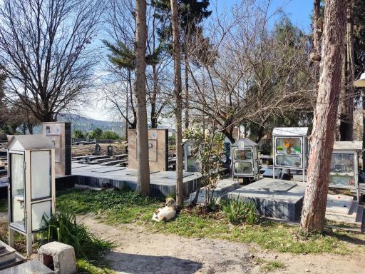 عکس گلزار شهدای مرمت