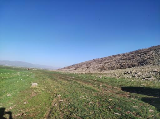 عکس گرگان