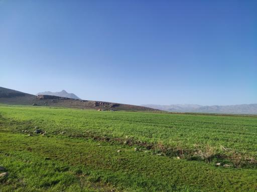 عکس گرگان