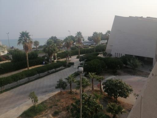 عکس ساحل مرجان