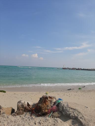 عکس ساحل مرجان