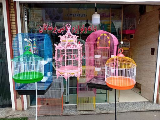 عکس دانه و لوازم جانبی پرندگان