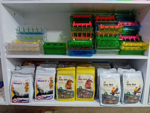 عکس دانه و لوازم جانبی پرندگان