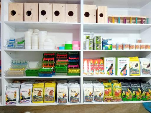 عکس دانه و لوازم جانبی پرندگان