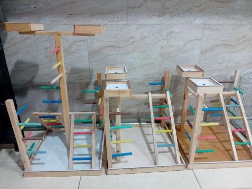 دانه و لوازم جانبی پرندگان