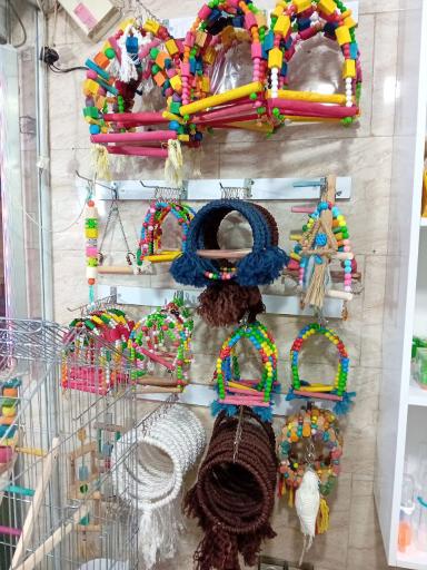 عکس دانه و لوازم جانبی پرندگان