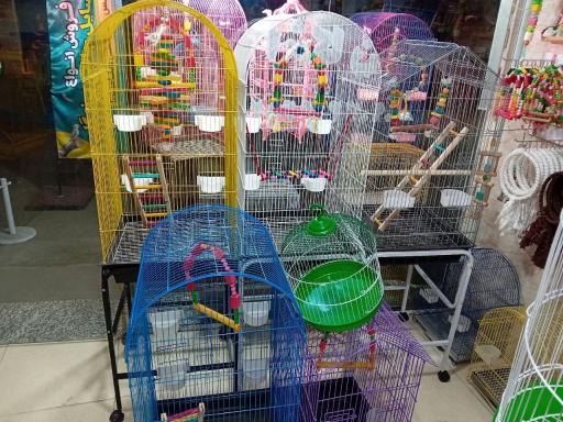 عکس دانه و لوازم جانبی پرندگان