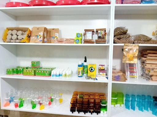 عکس دانه و لوازم جانبی پرندگان