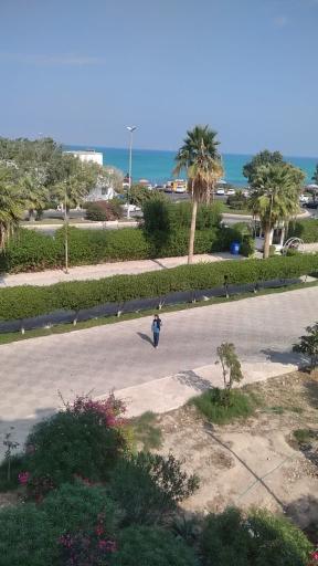 عکس ساحل مرجان