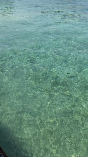 عکس ساحل مرجان