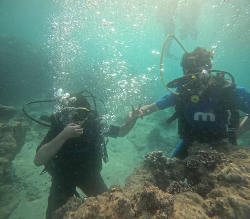 عکس ساحل مرجان