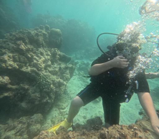 عکس ساحل مرجان