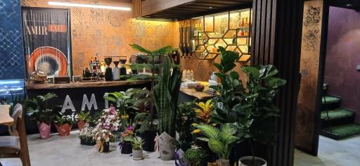 عکس امیر کافه