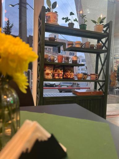 عکس کافه لوتوس