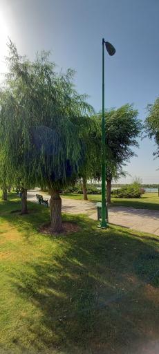 عکس بوستان جنگلی توسکا