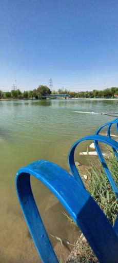 عکس بوستان جنگلی توسکا