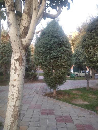 عکس بوستان سینا