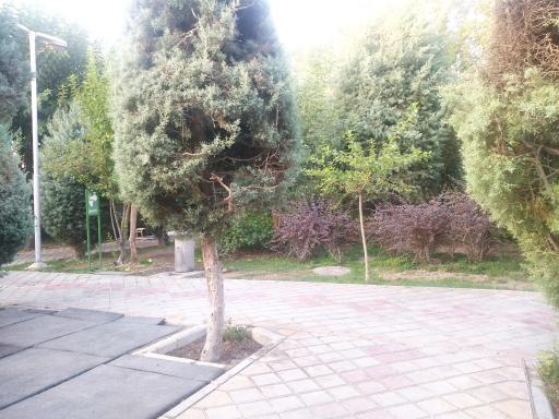 عکس بوستان سینا