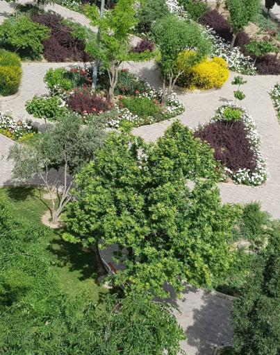 عکس بوستان جنگلی توسکا