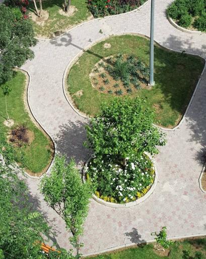 عکس بوستان جنگلی توسکا