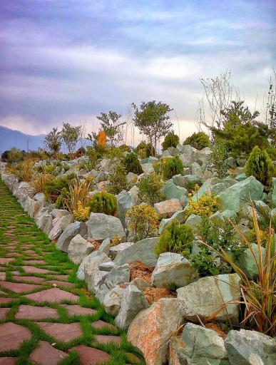 عکس بوستان جنگلی توسکا